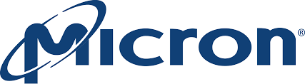 micron malaysia sdn bhd security client